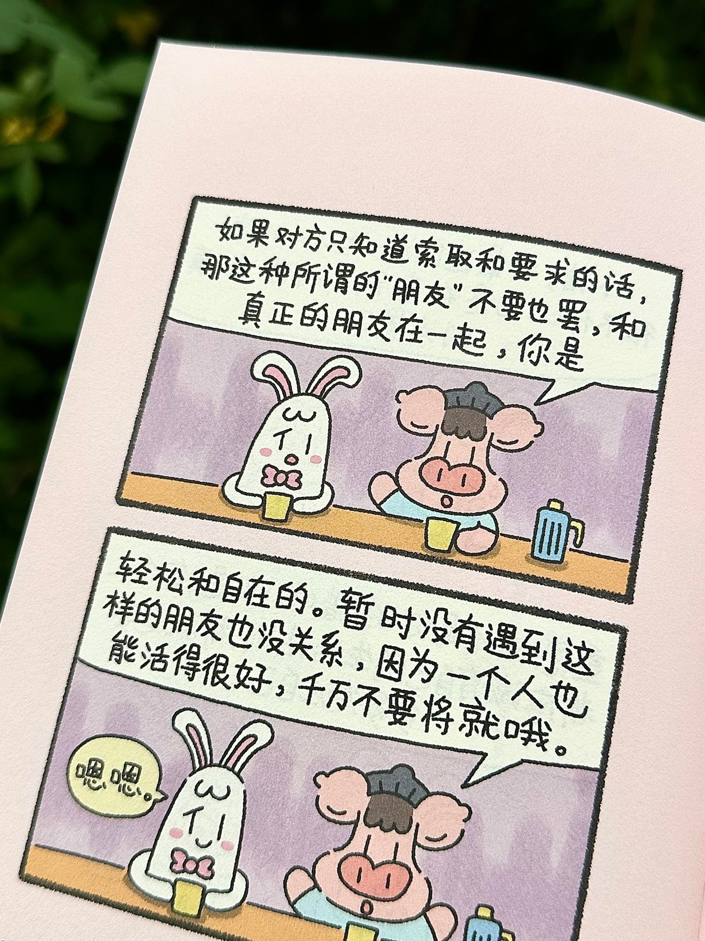 小猪哲学