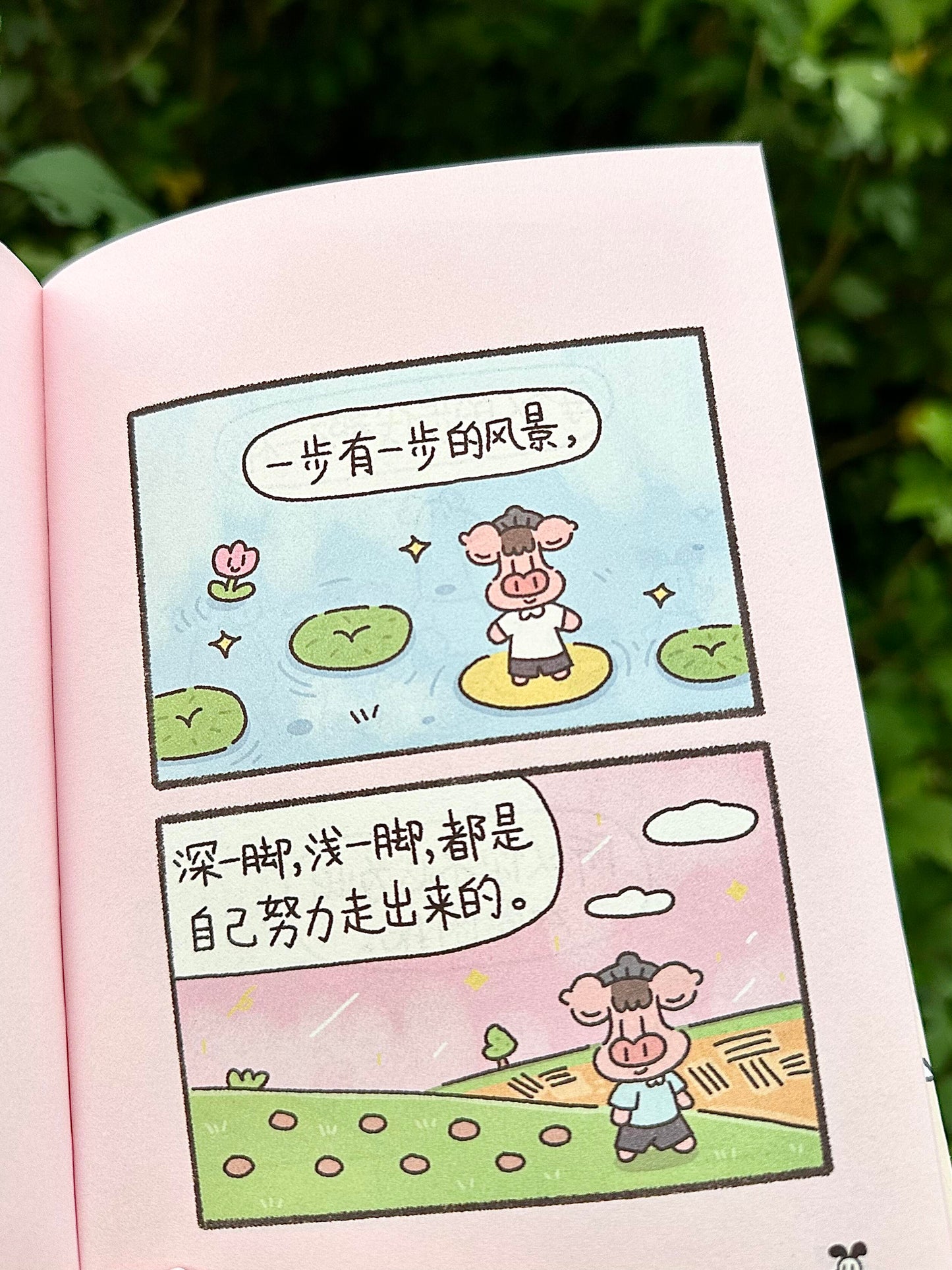 小猪哲学
