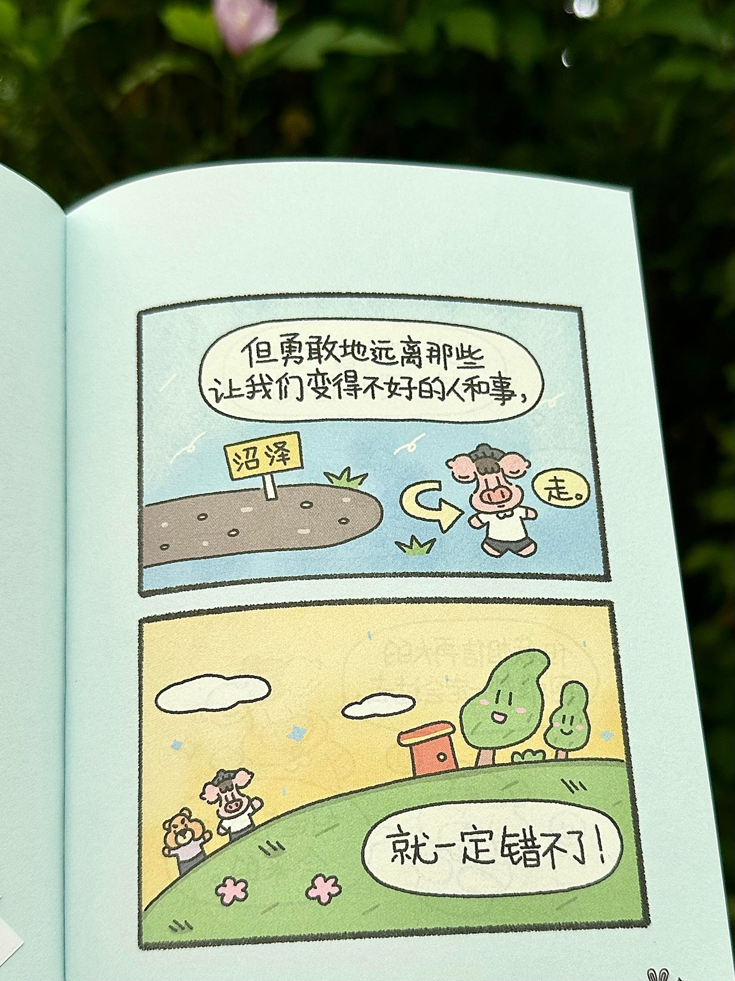 小猪哲学