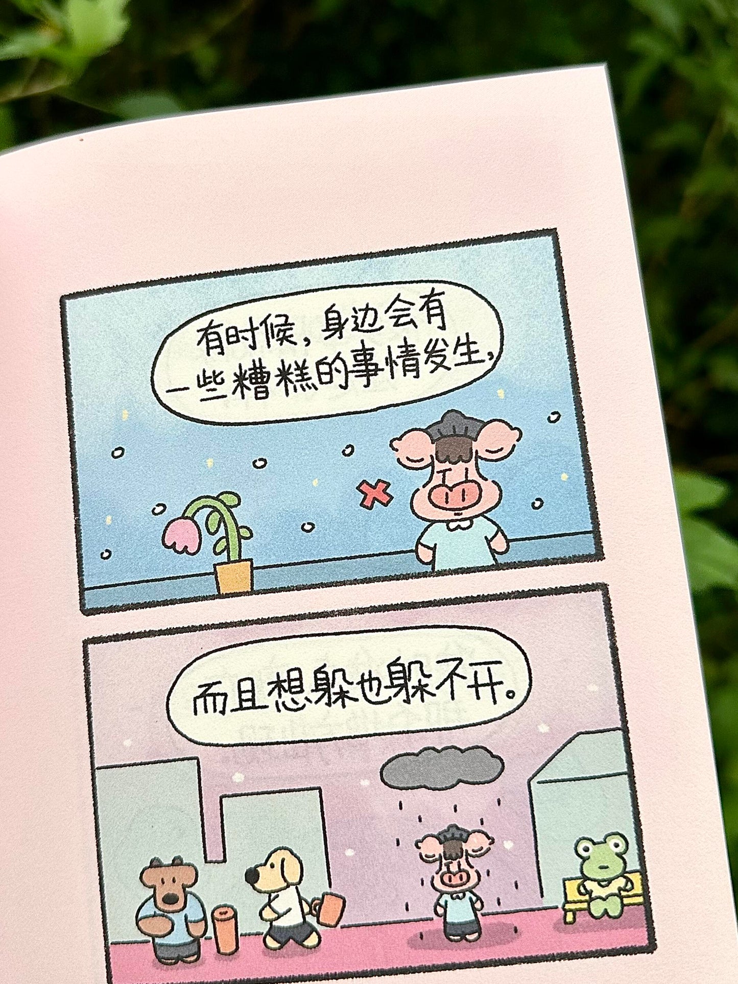 小猪哲学