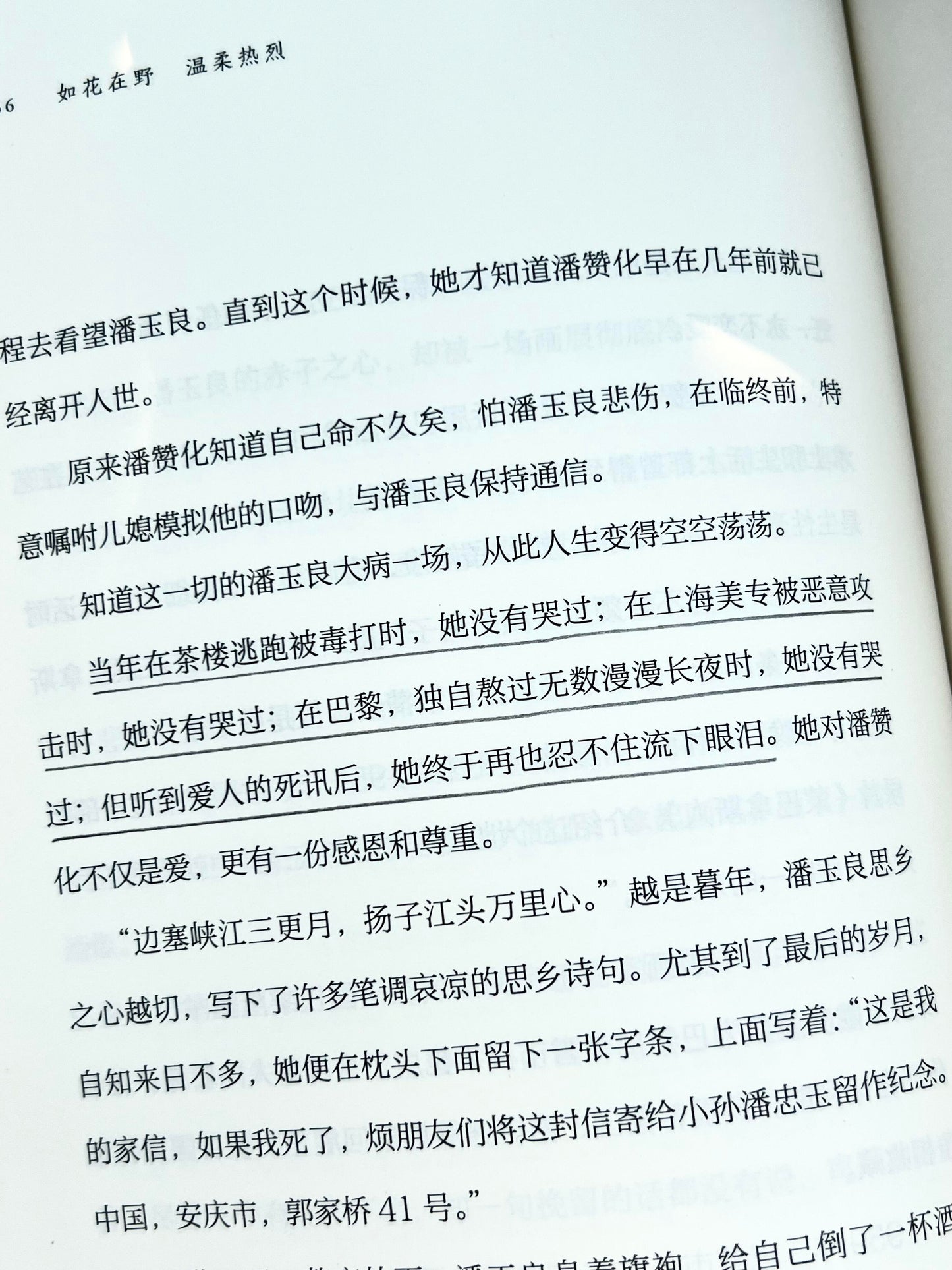 如花在野,温柔热烈