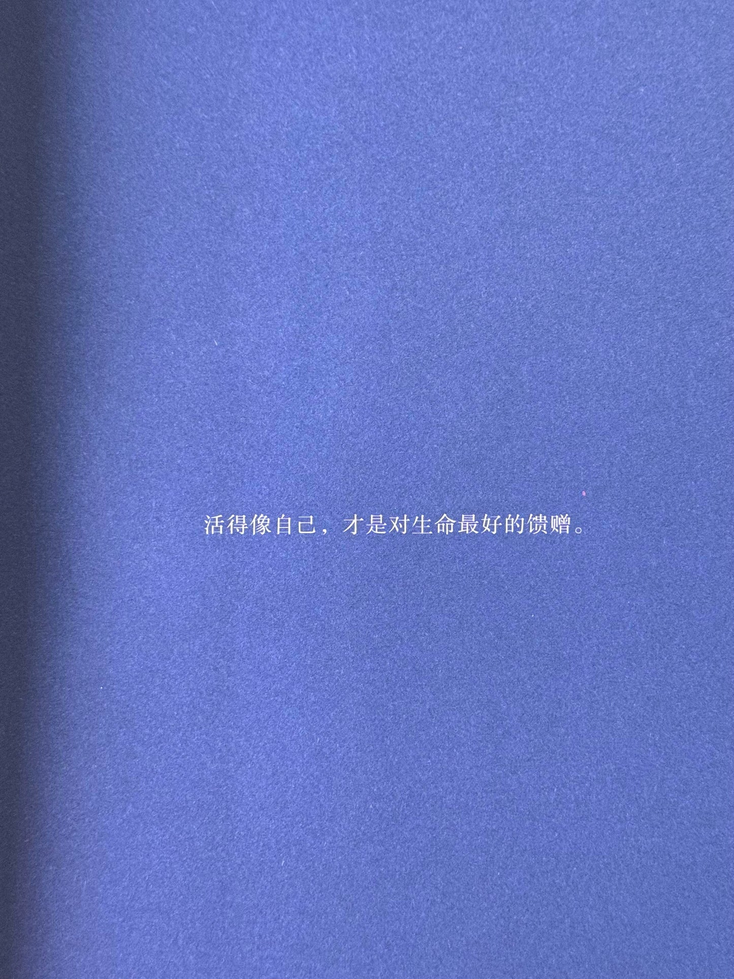 你不必是一朵花