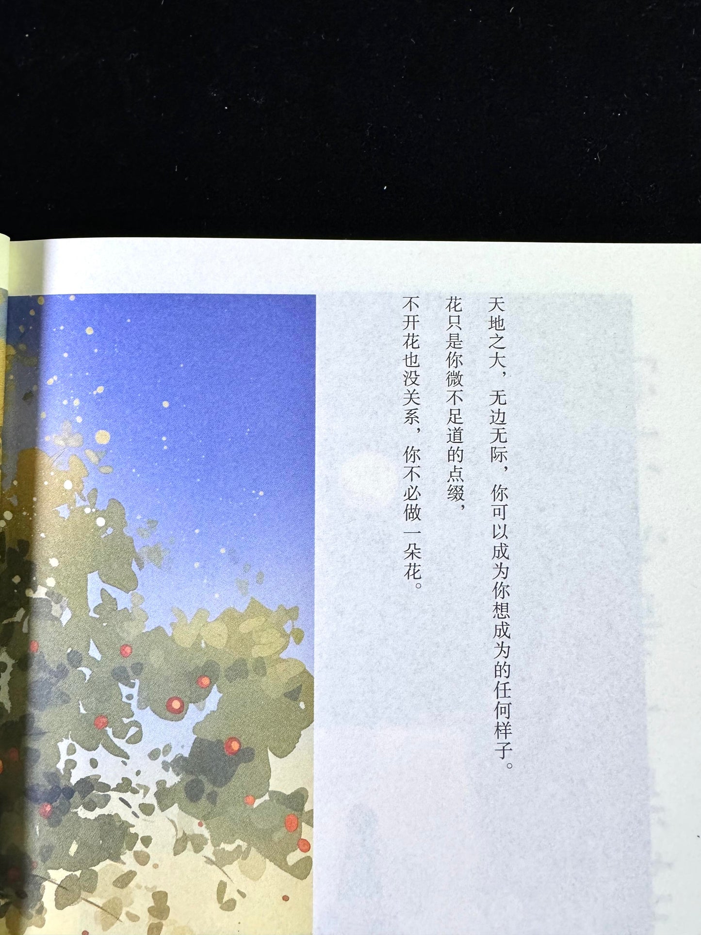 你不必是一朵花