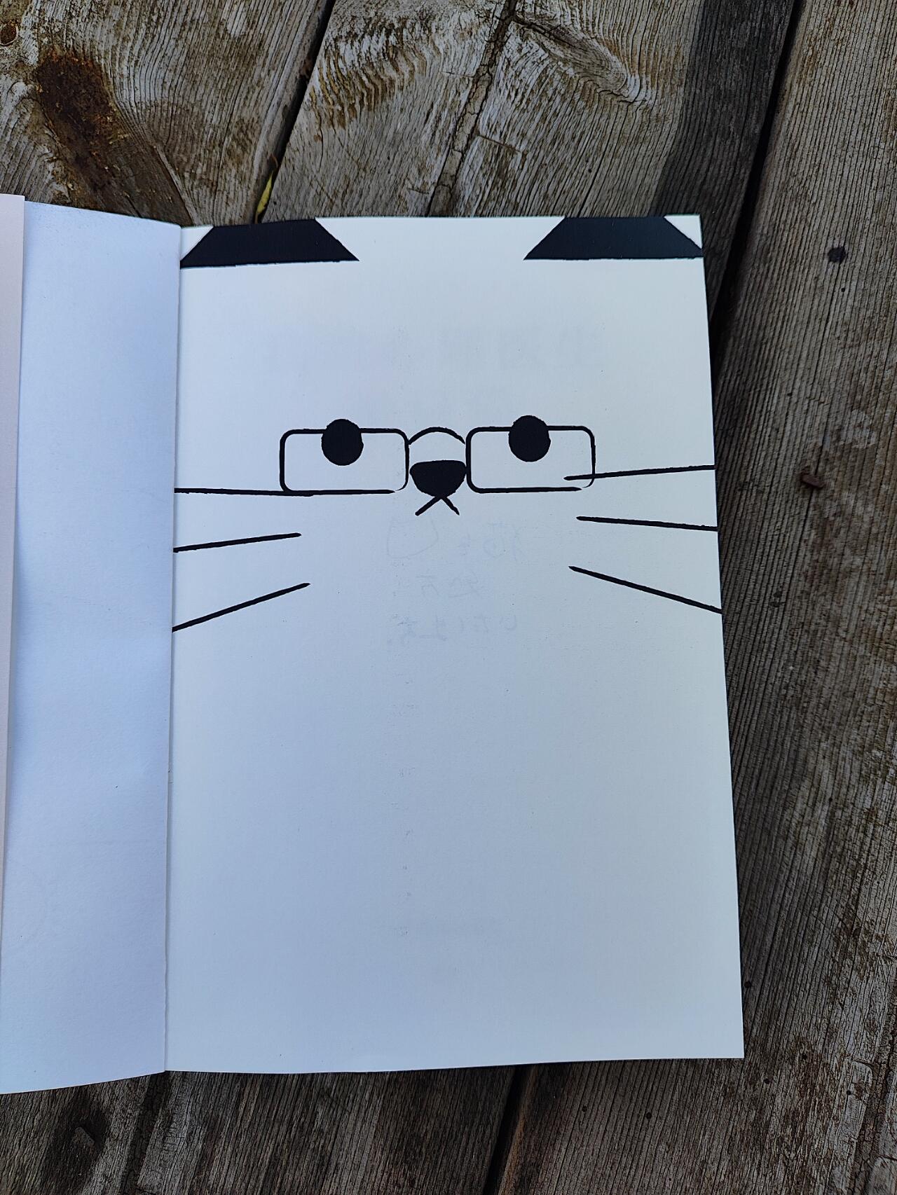 我的心理医生是只猫