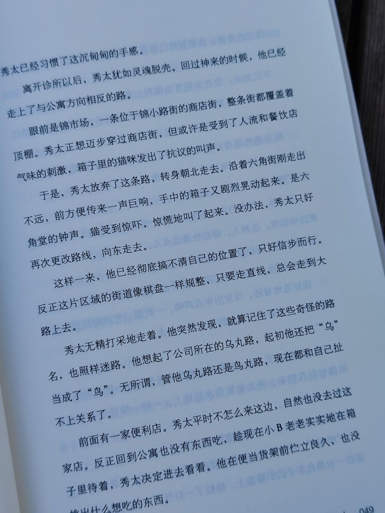 我的心理医生是只猫