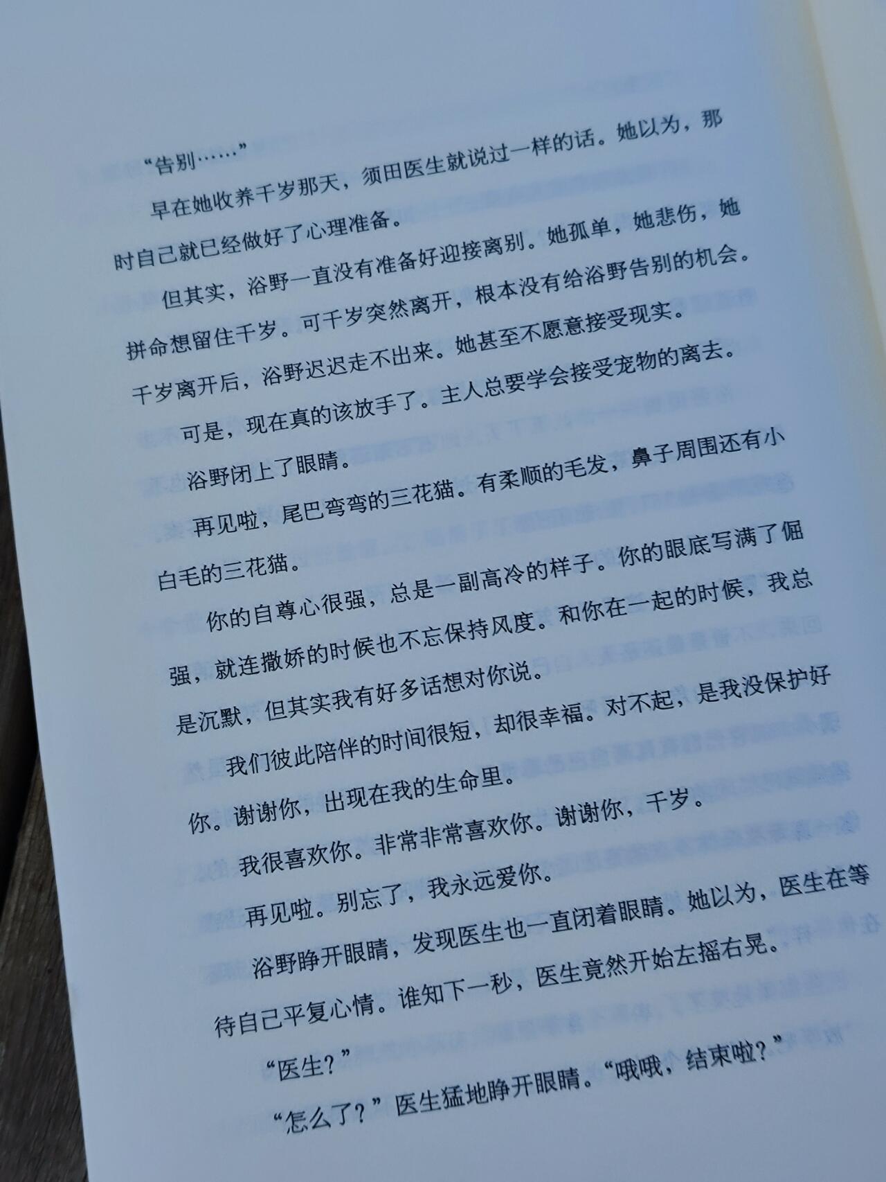 我的心理医生是只猫