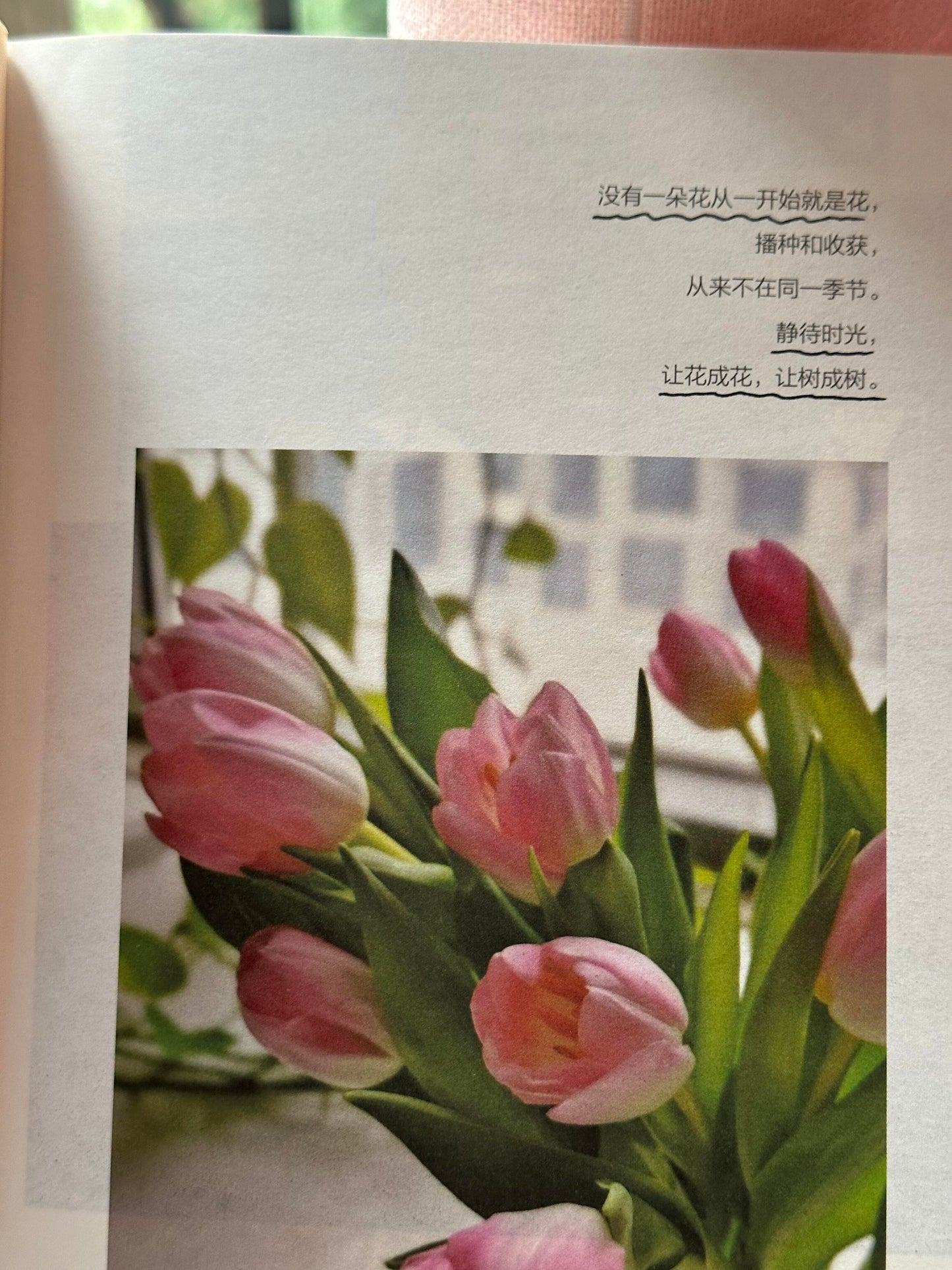 生活奇奇怪怪,你要可可爱爱