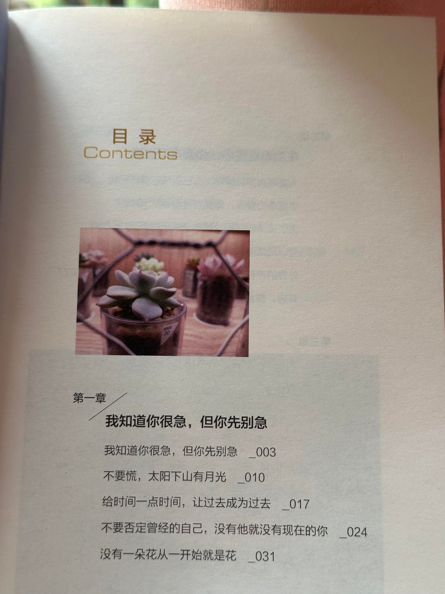生活奇奇怪怪,你要可可爱爱