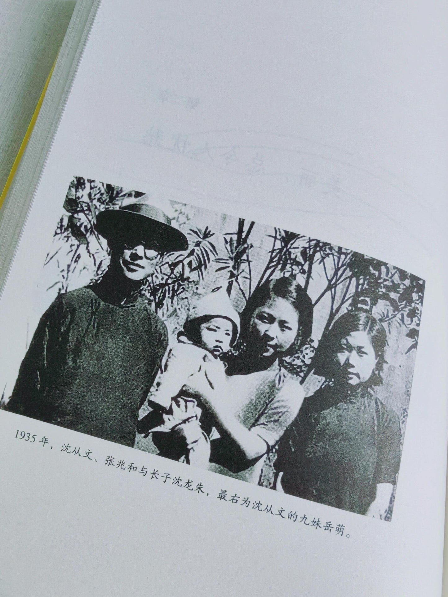 在春天,去看一个人