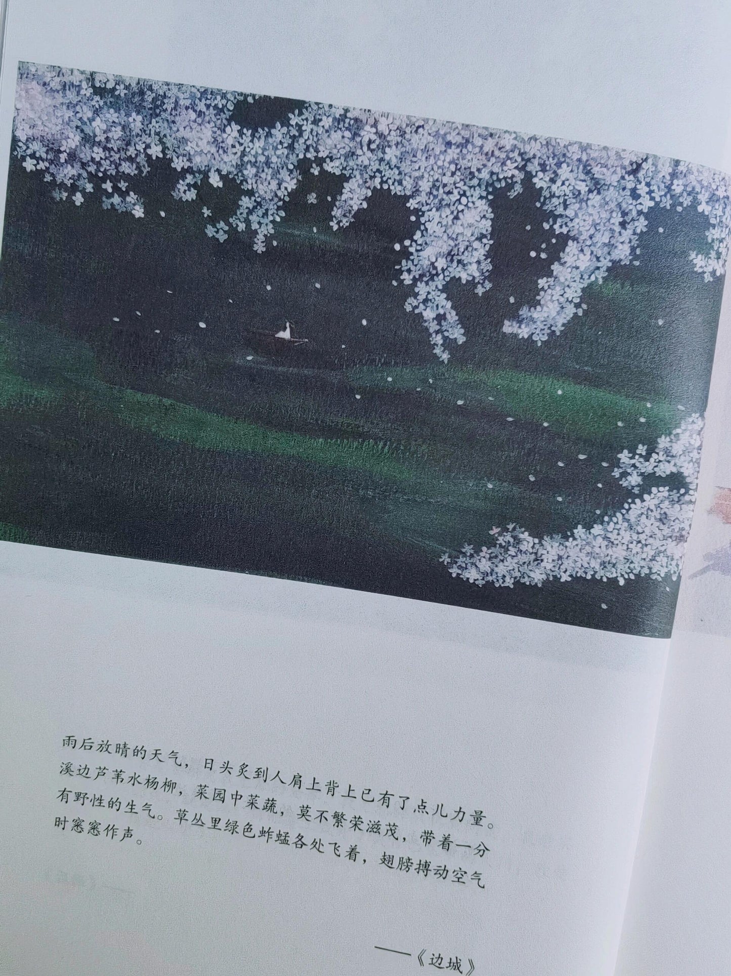 在春天,去看一个人