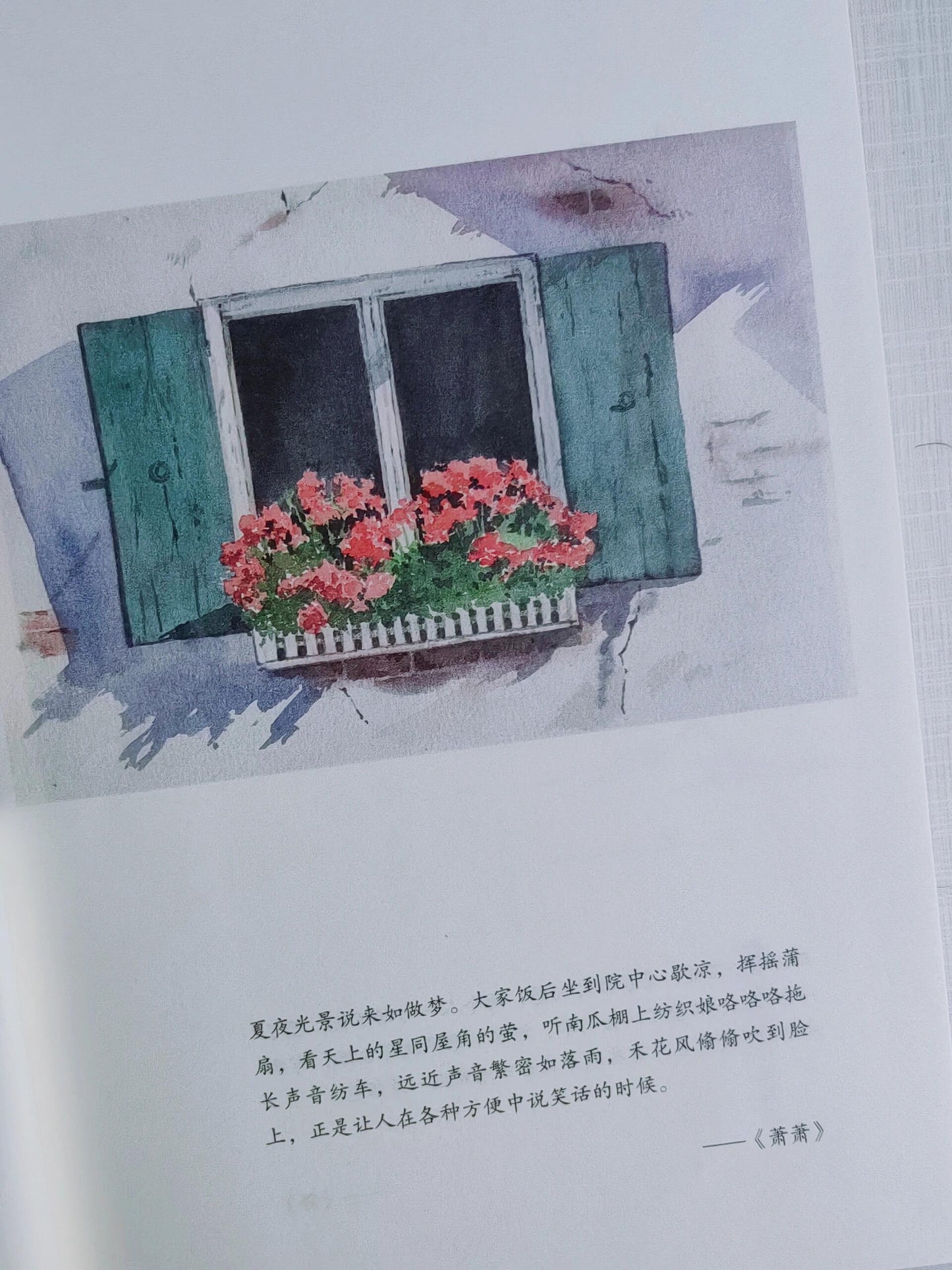 在春天,去看一个人