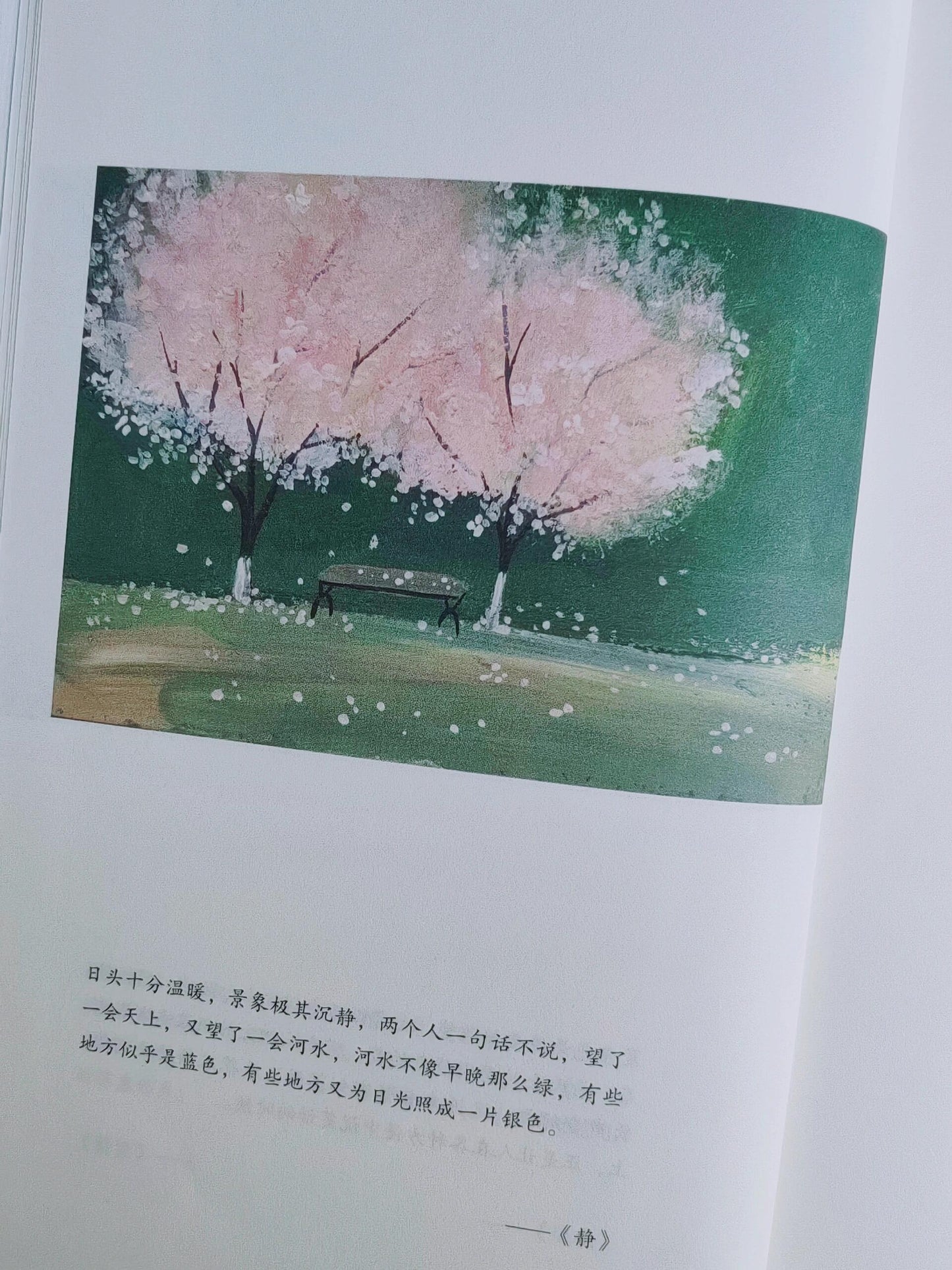 在春天,去看一个人