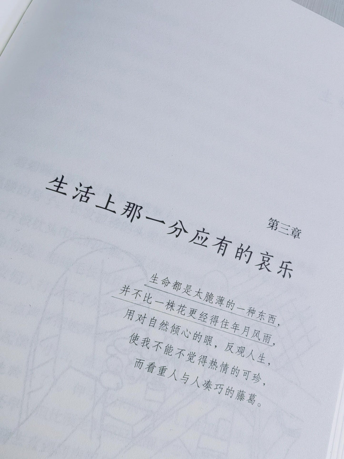 在春天,去看一个人