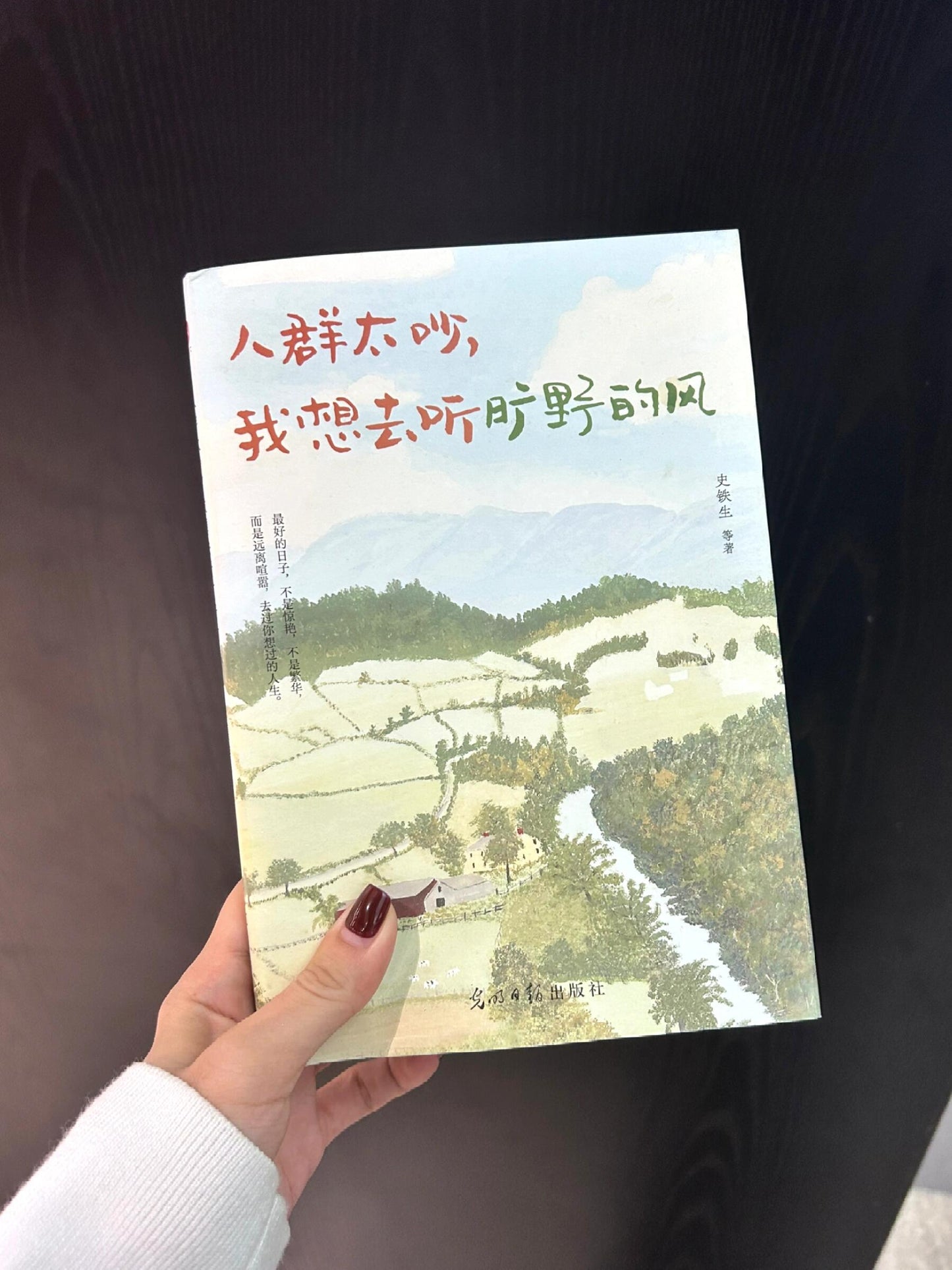 人群太吵,我想去听旷野的风