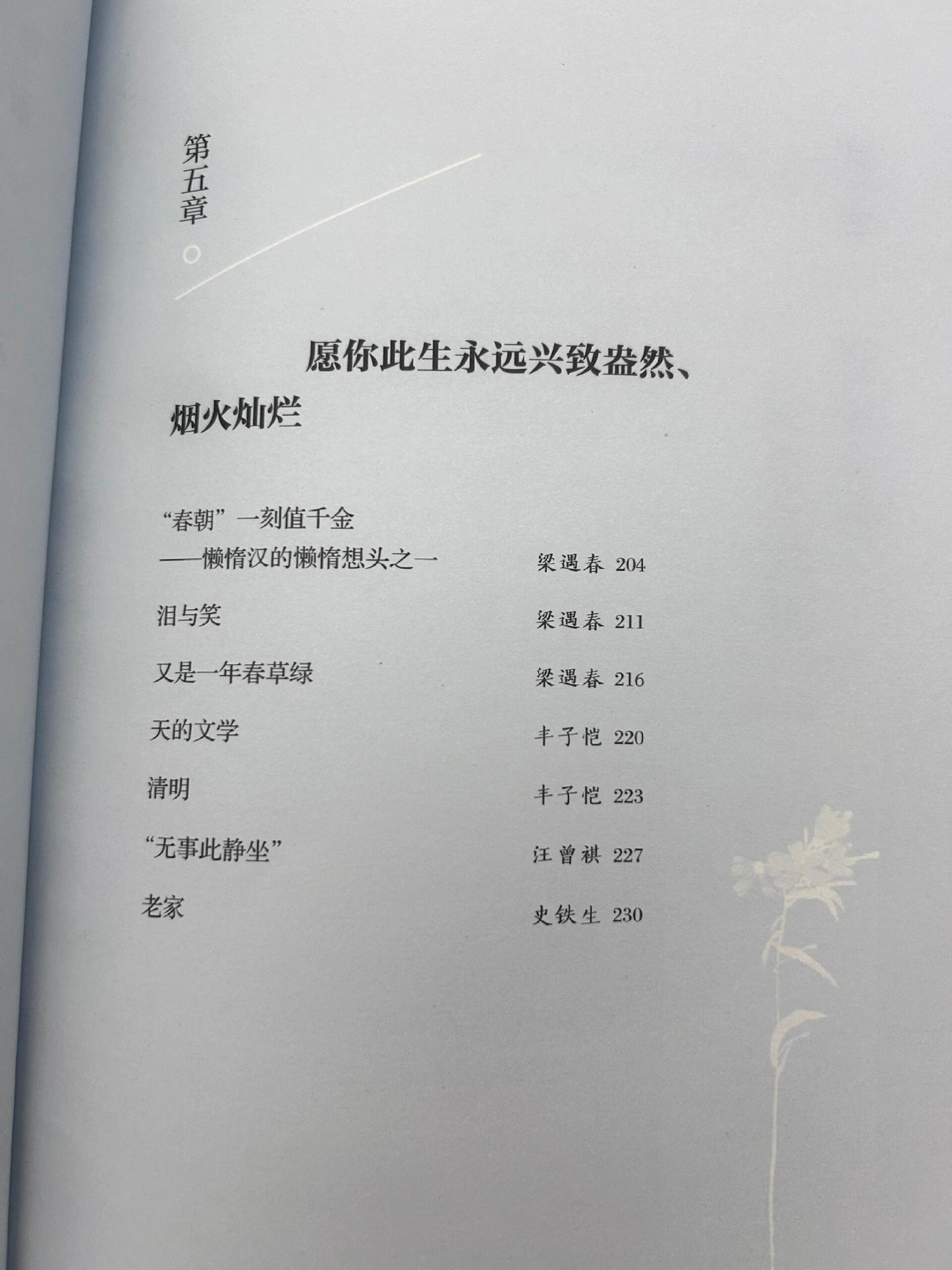 人群太吵,我想去听旷野的风