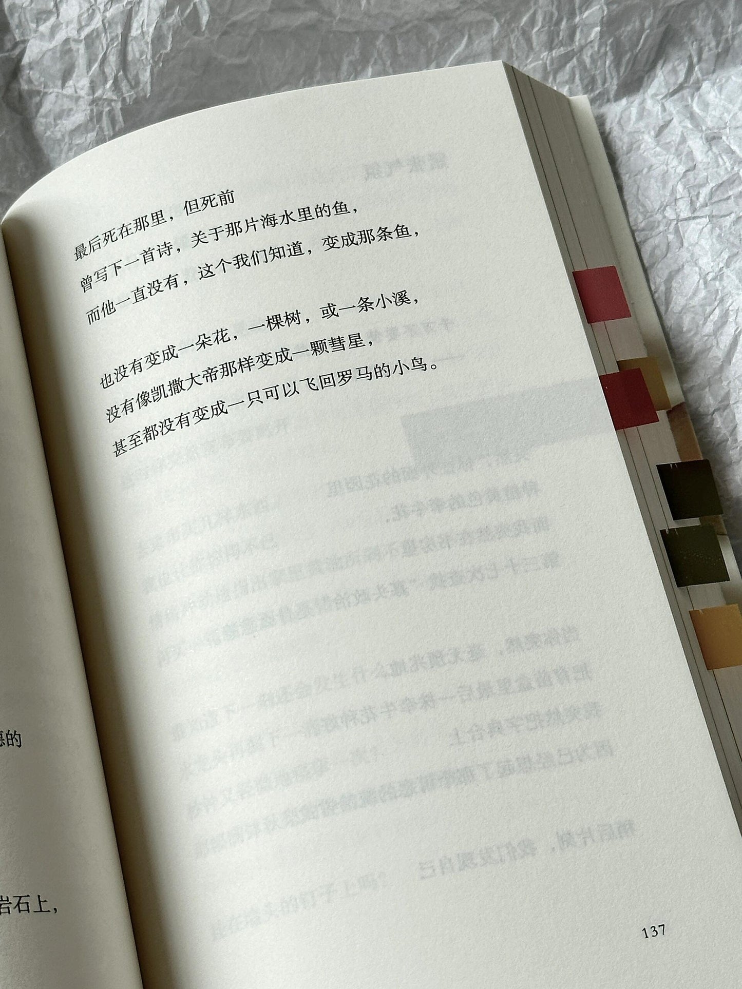 漫无目的的爱