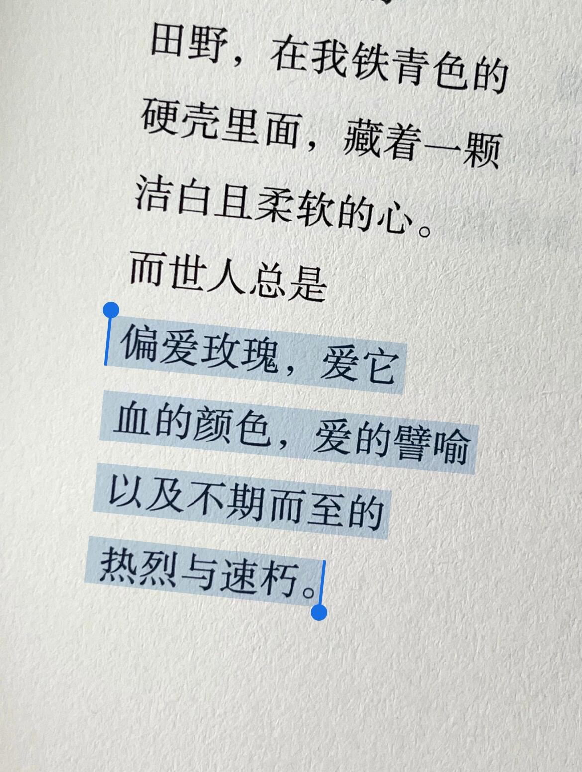 未来的雨都已落在未来