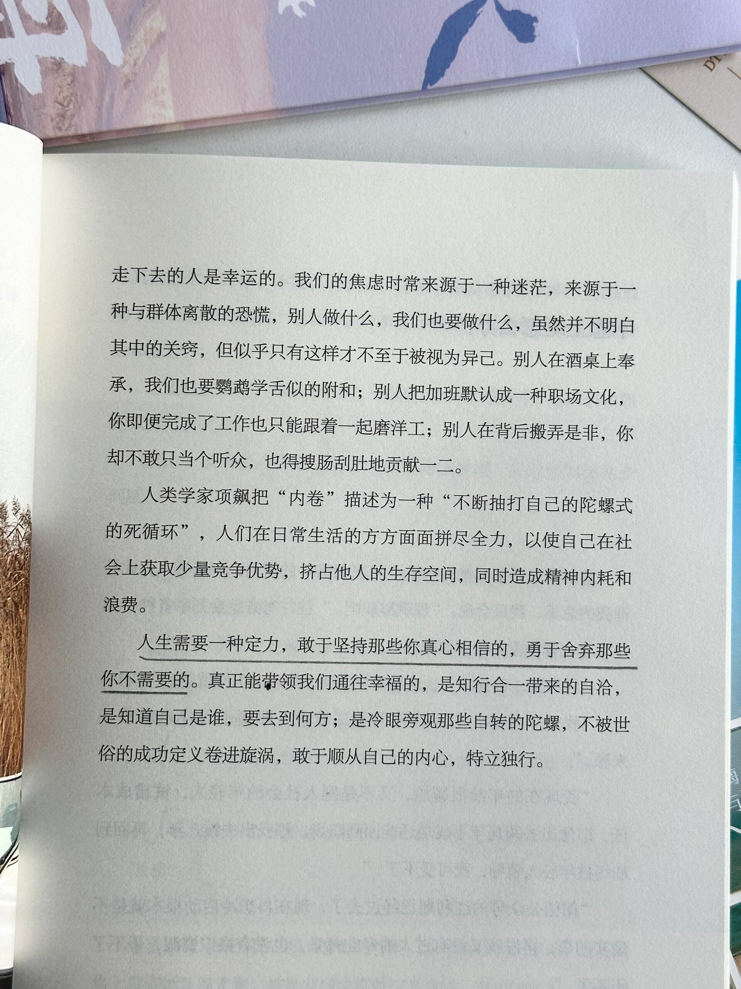 愿你顺风顺水,自成山海