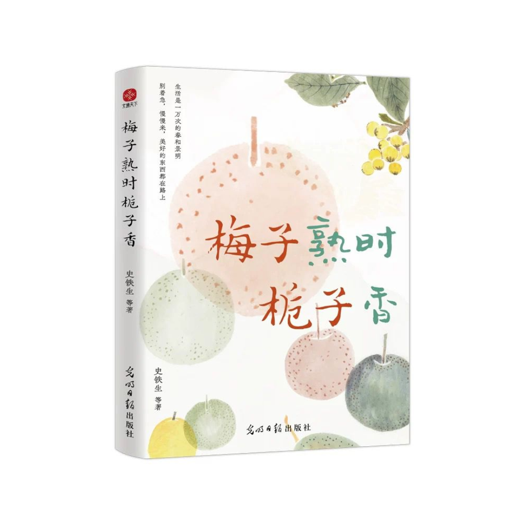 梅子熟时栀子香