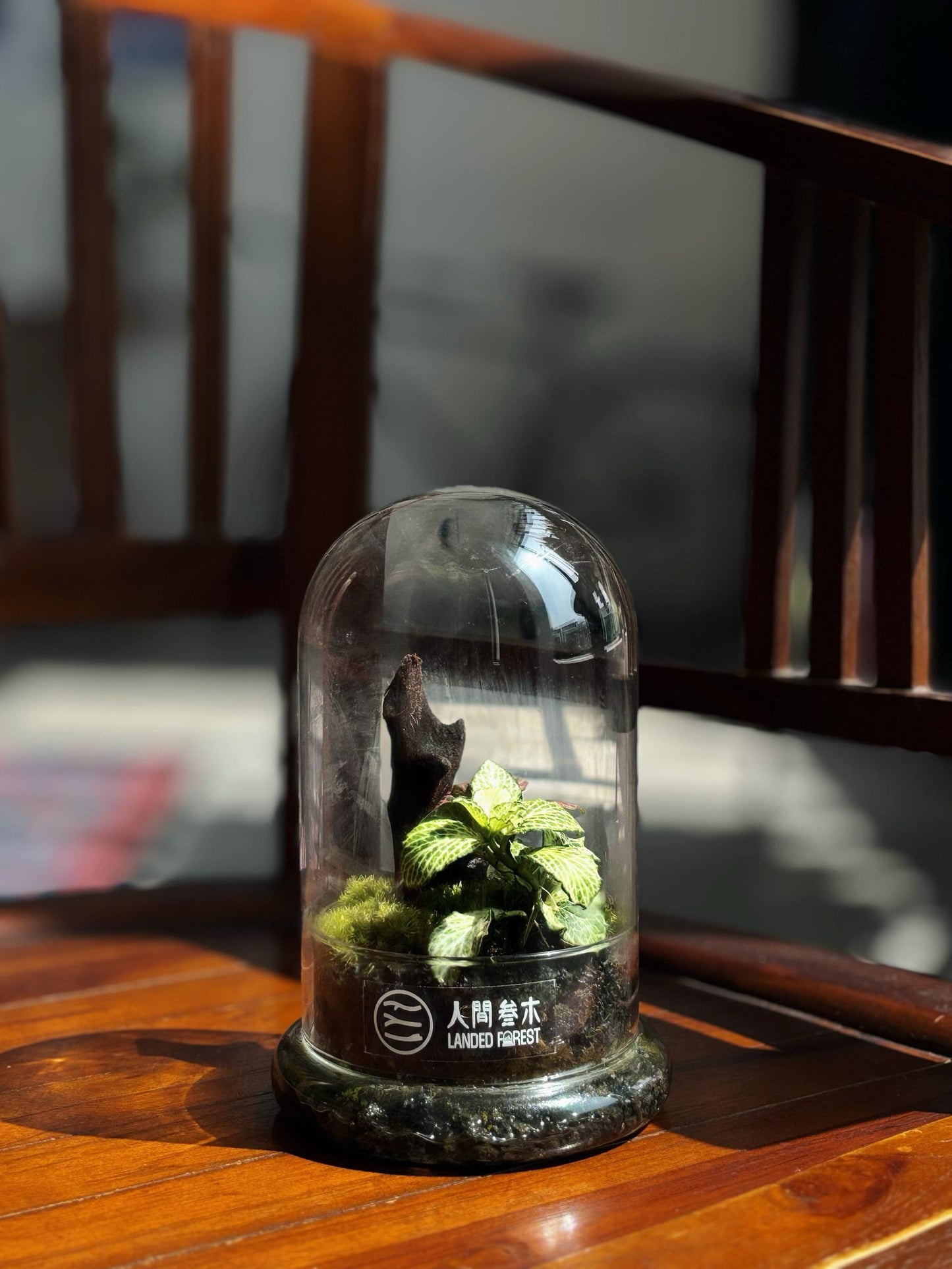 Landed Forest 品牌微景观