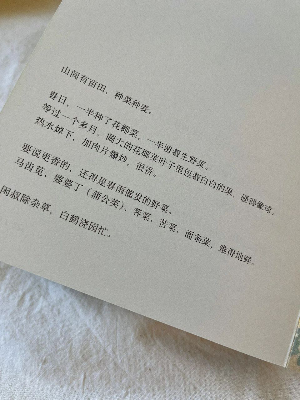 家在小院里