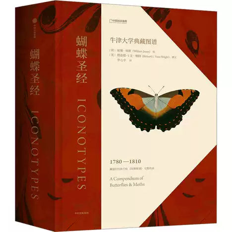 蝴蝶圣经