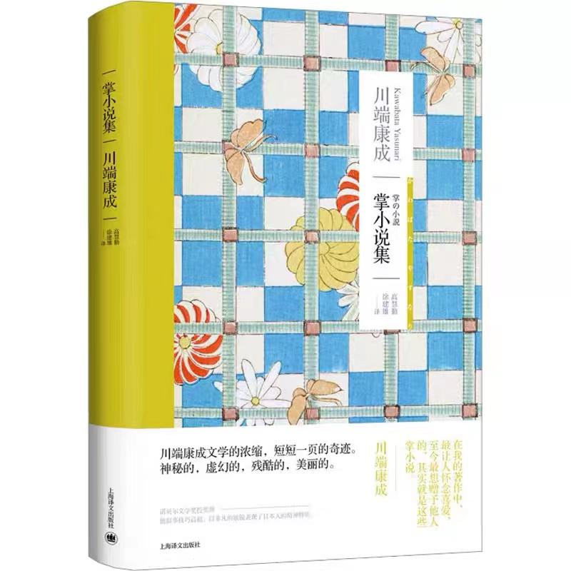 掌小说集
