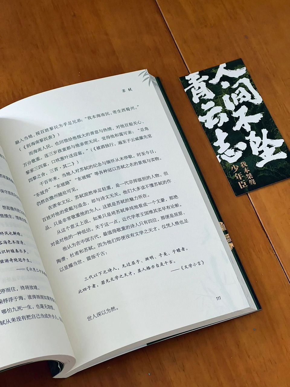 人间不坠青云志:古代文人沉浮录