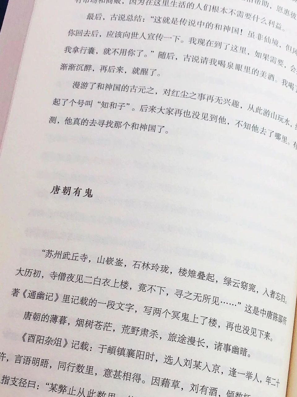 大唐的365夜