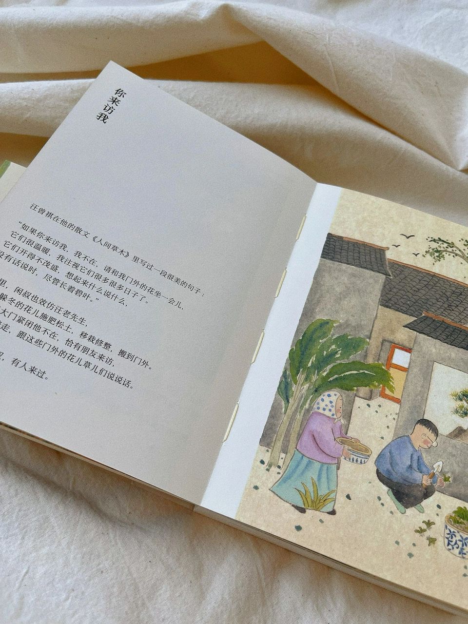 家在小院里