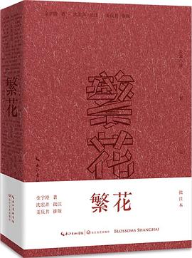 繁花·批注本