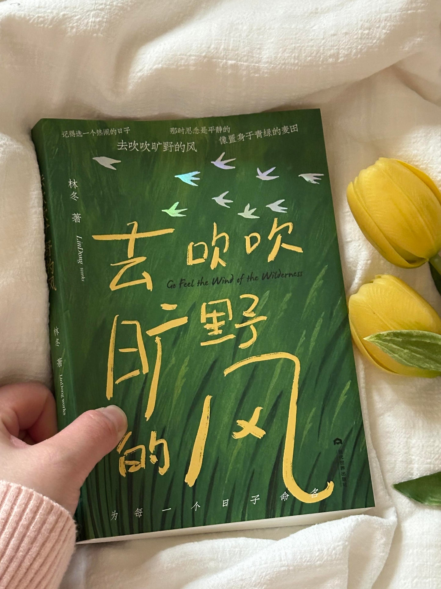 去吹吹旷野的风