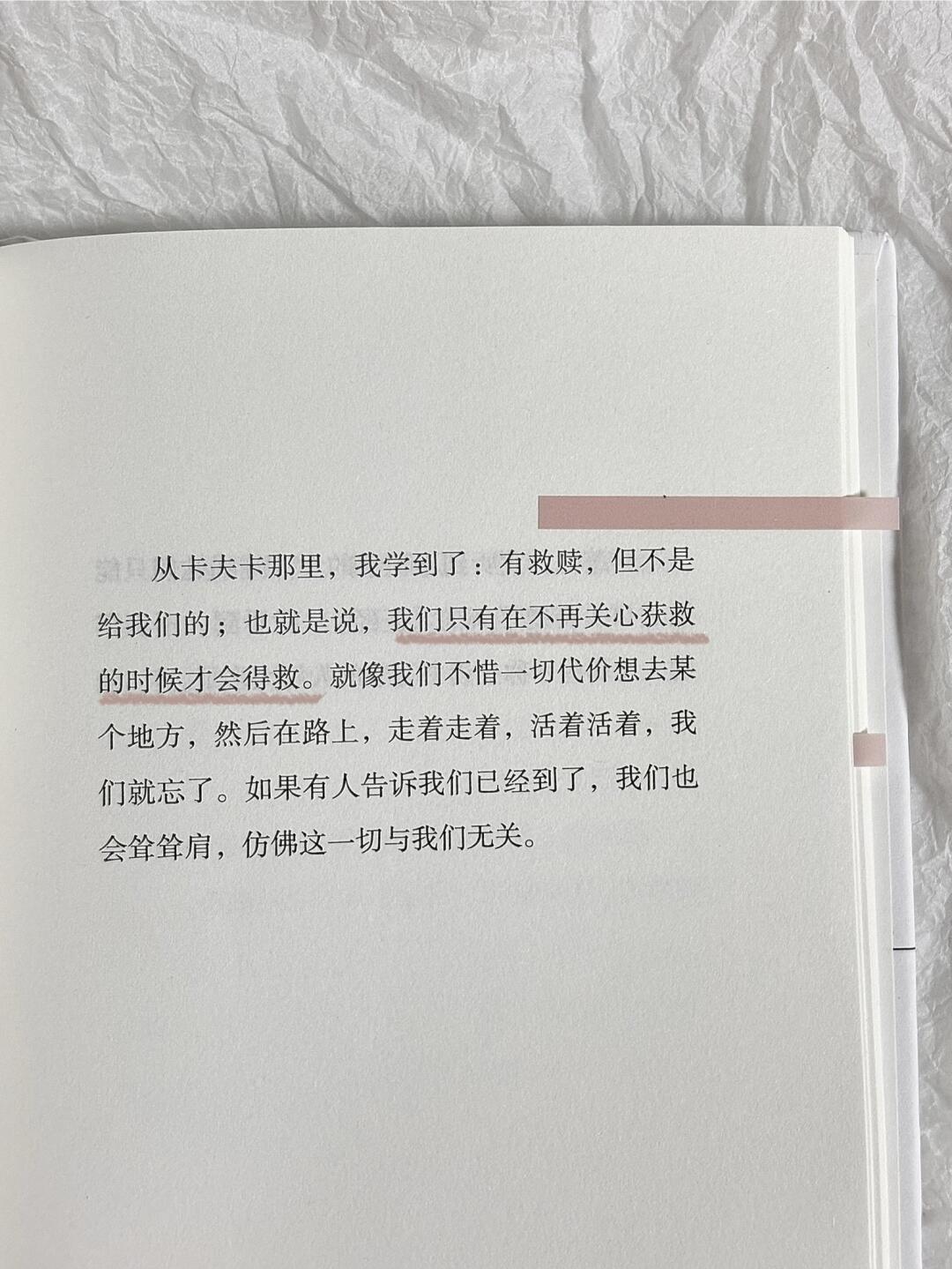 我看见，我倾听，我思索