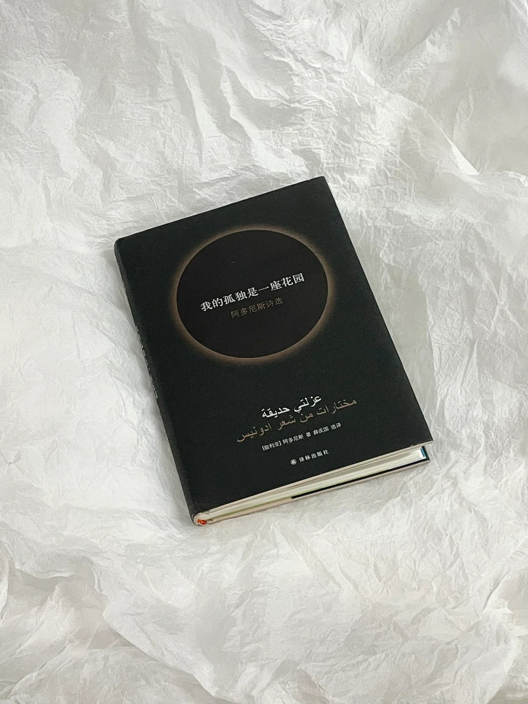 我的孤独是一座花园