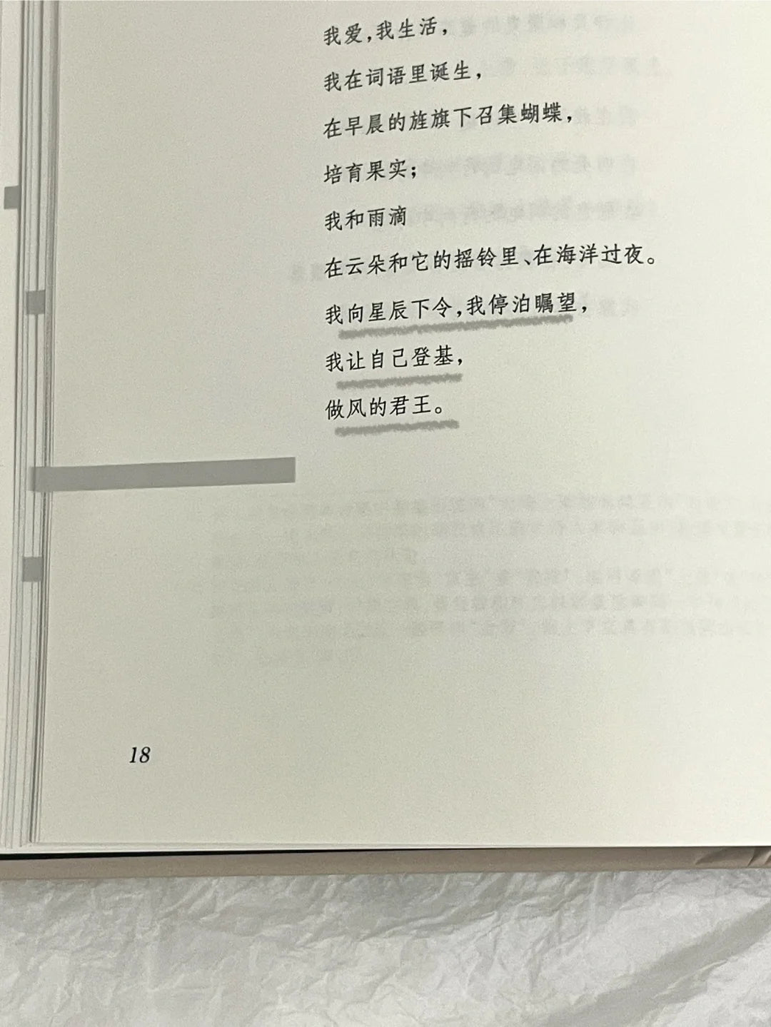 我的孤独是一座花园