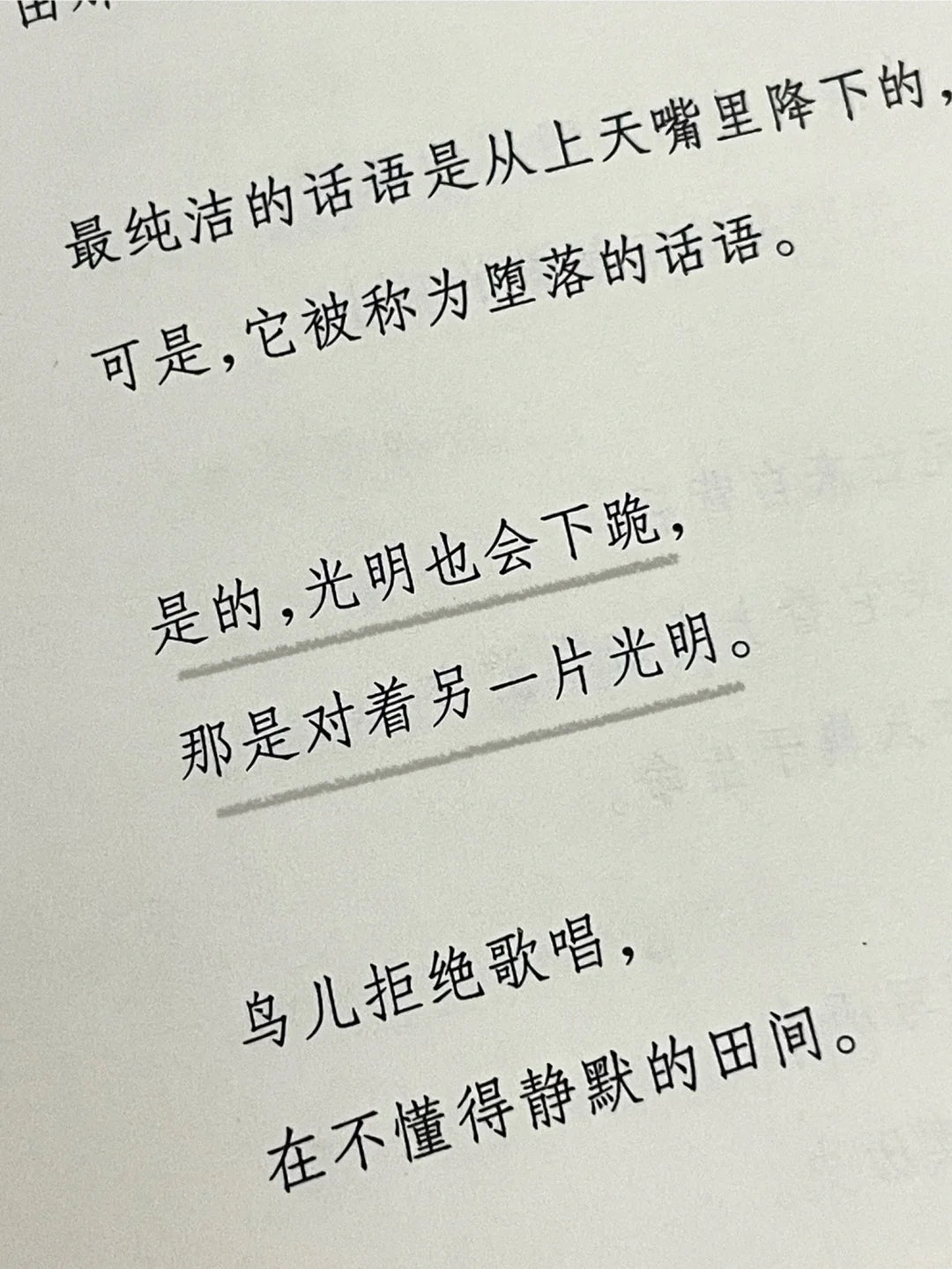 我的孤独是一座花园