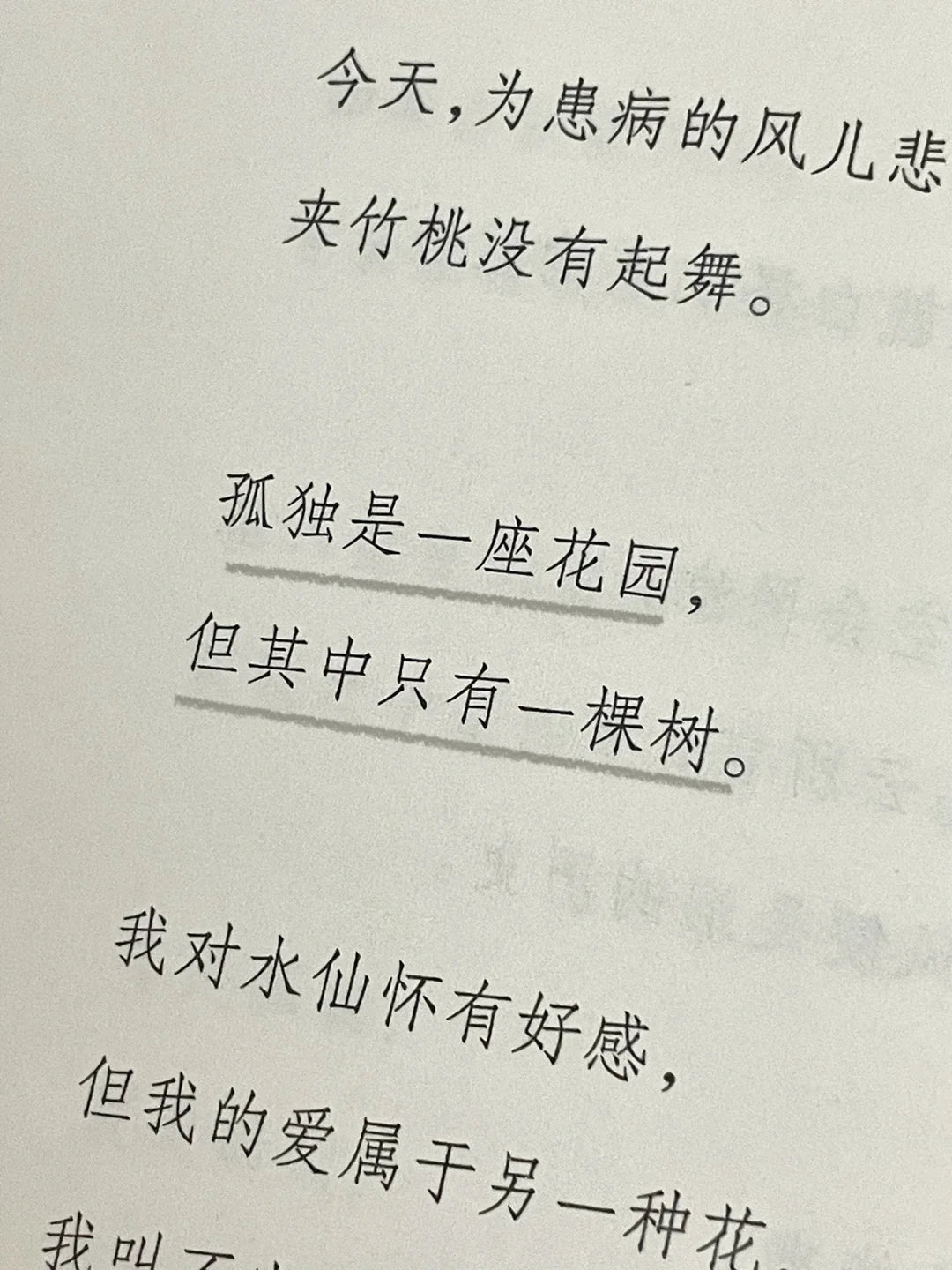 我的孤独是一座花园