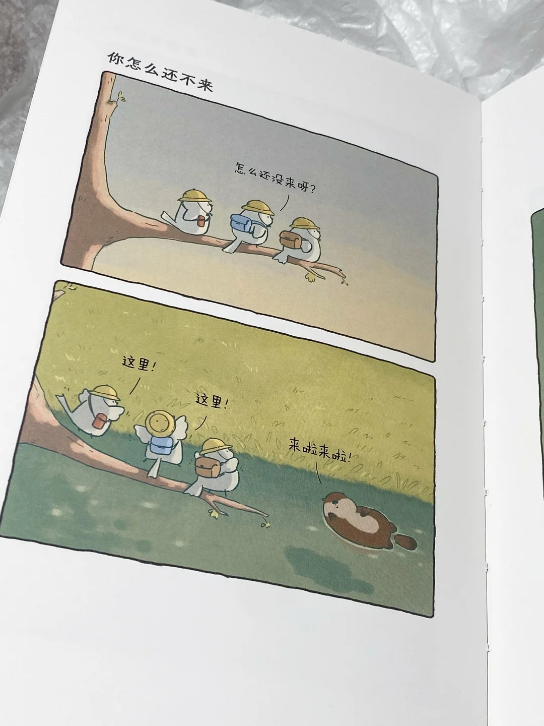 等你好久啦