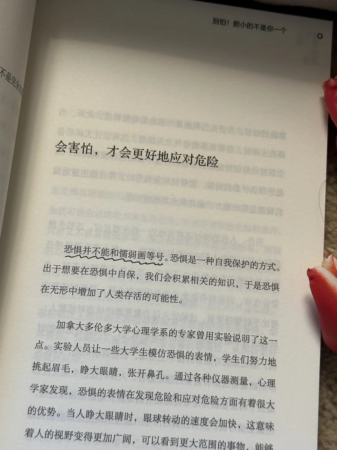为什么你一直在害怕
