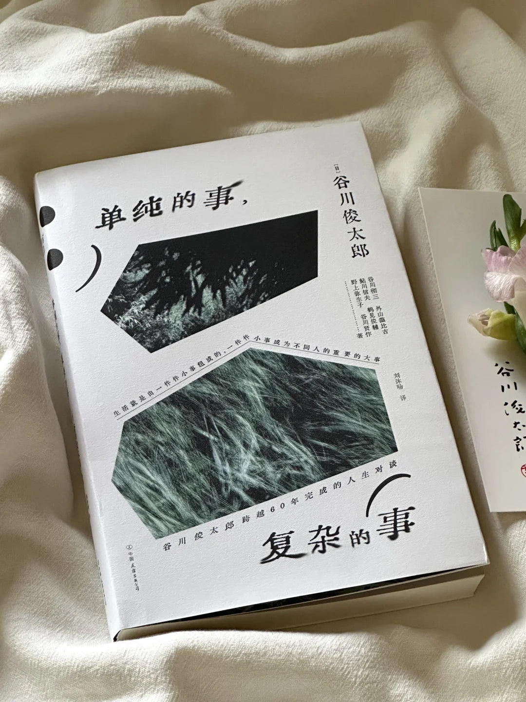 单纯的事，复杂的事
