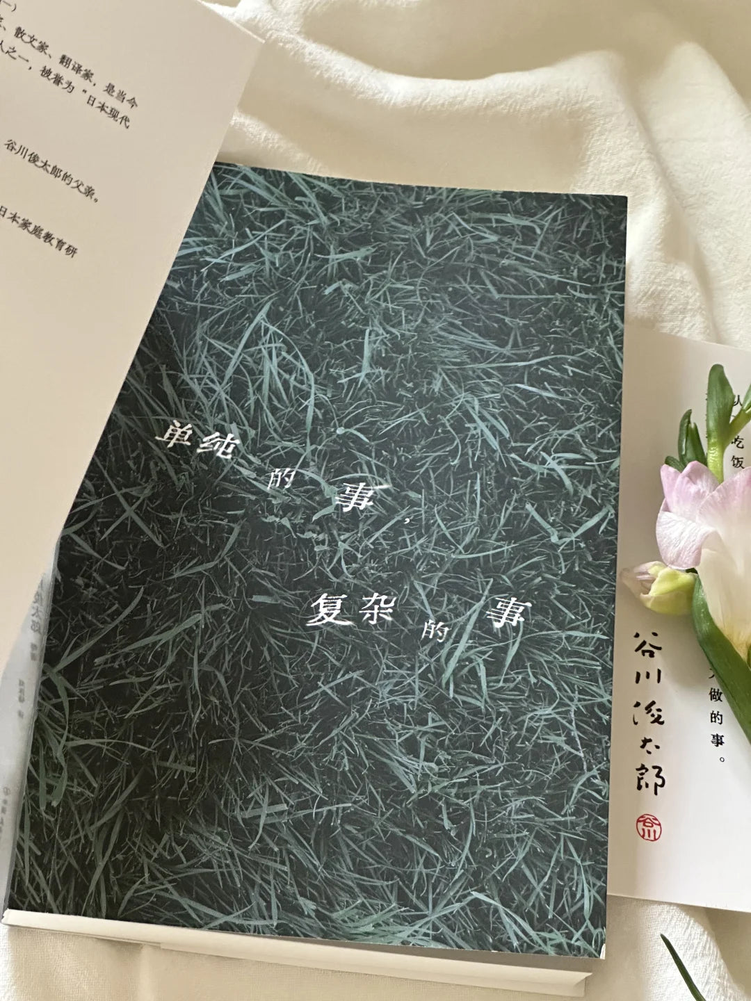 单纯的事，复杂的事