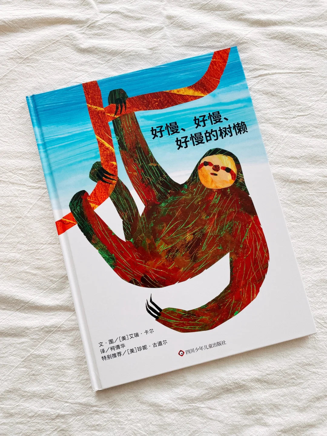好慢、好慢、好慢的树懒
