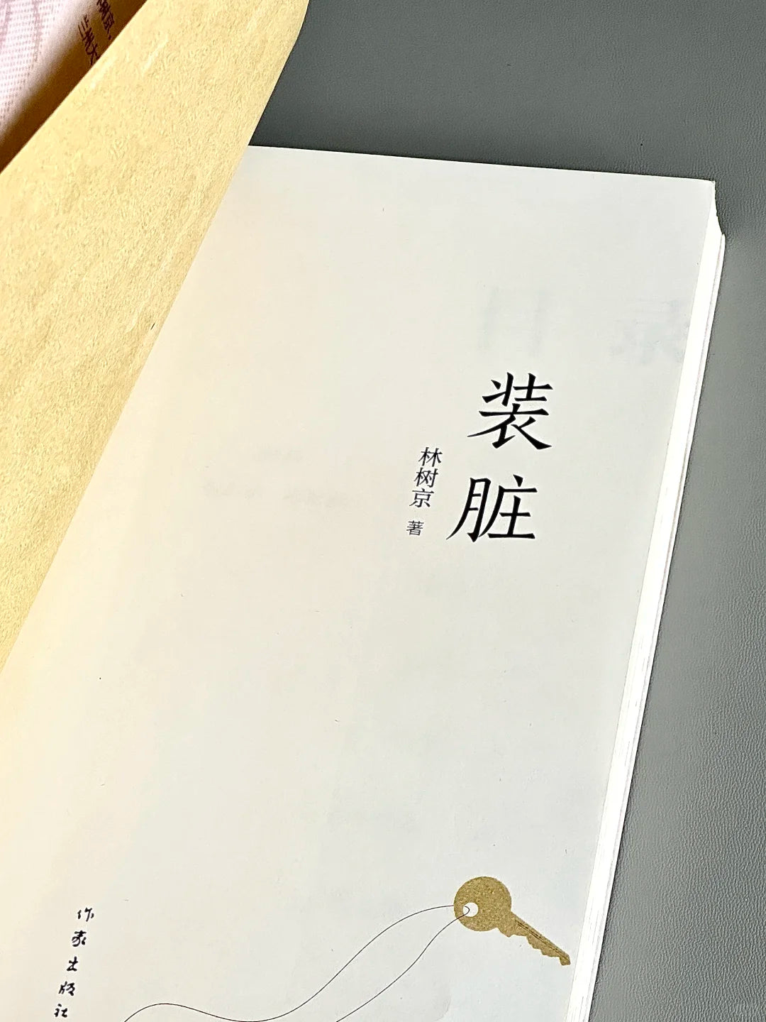 装脏