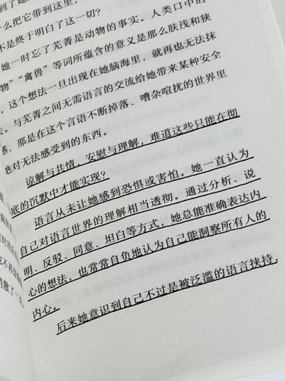 猫舔过伤口