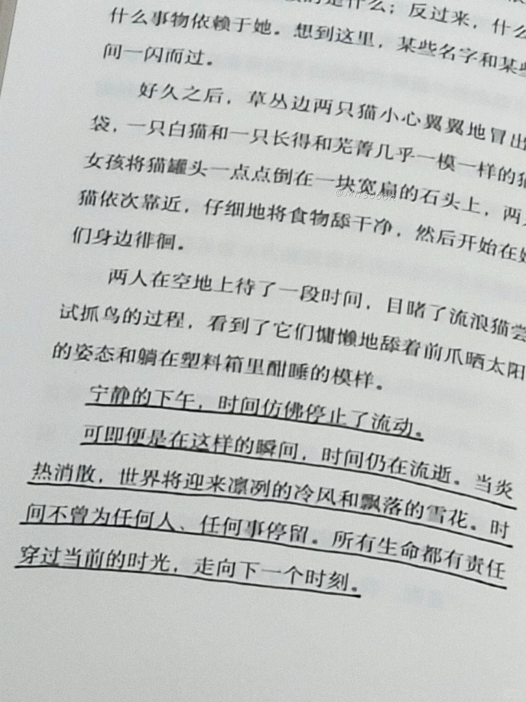 猫舔过伤口