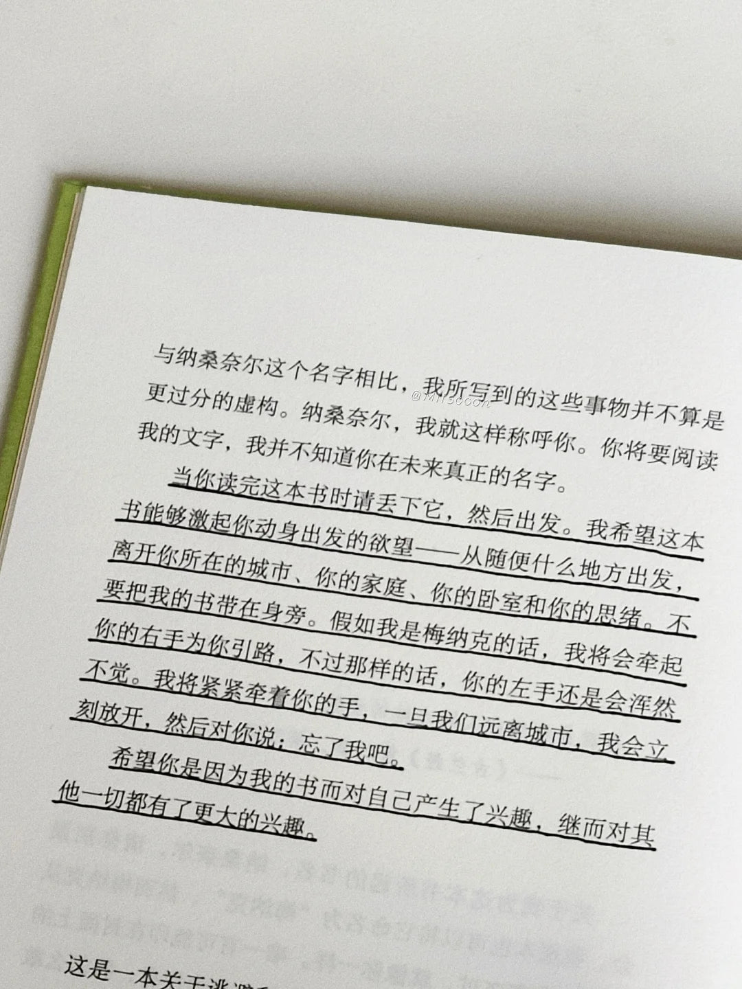 人间食粮