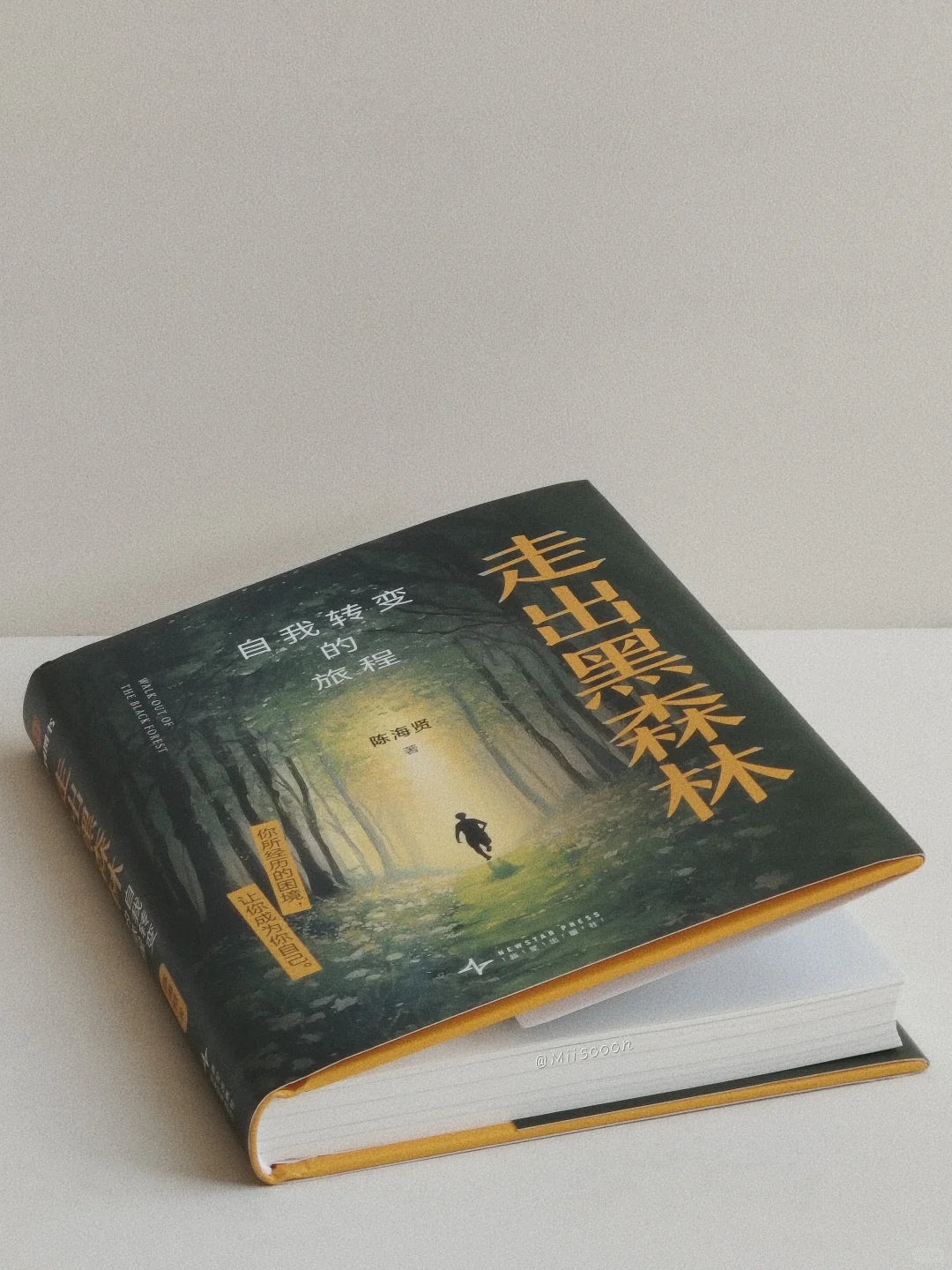 走出黑森林：自我转变的旅程