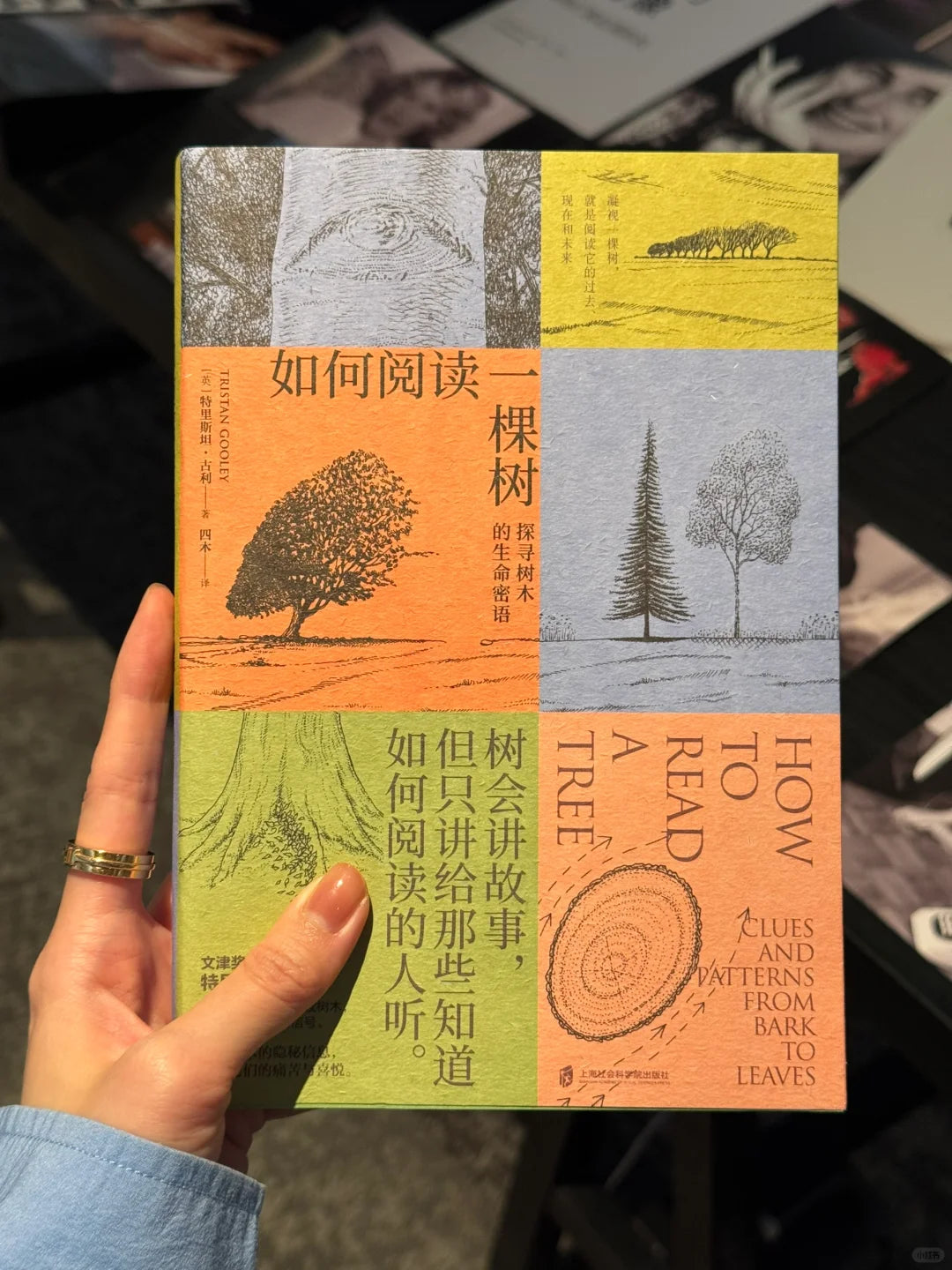 如何阅读一棵树