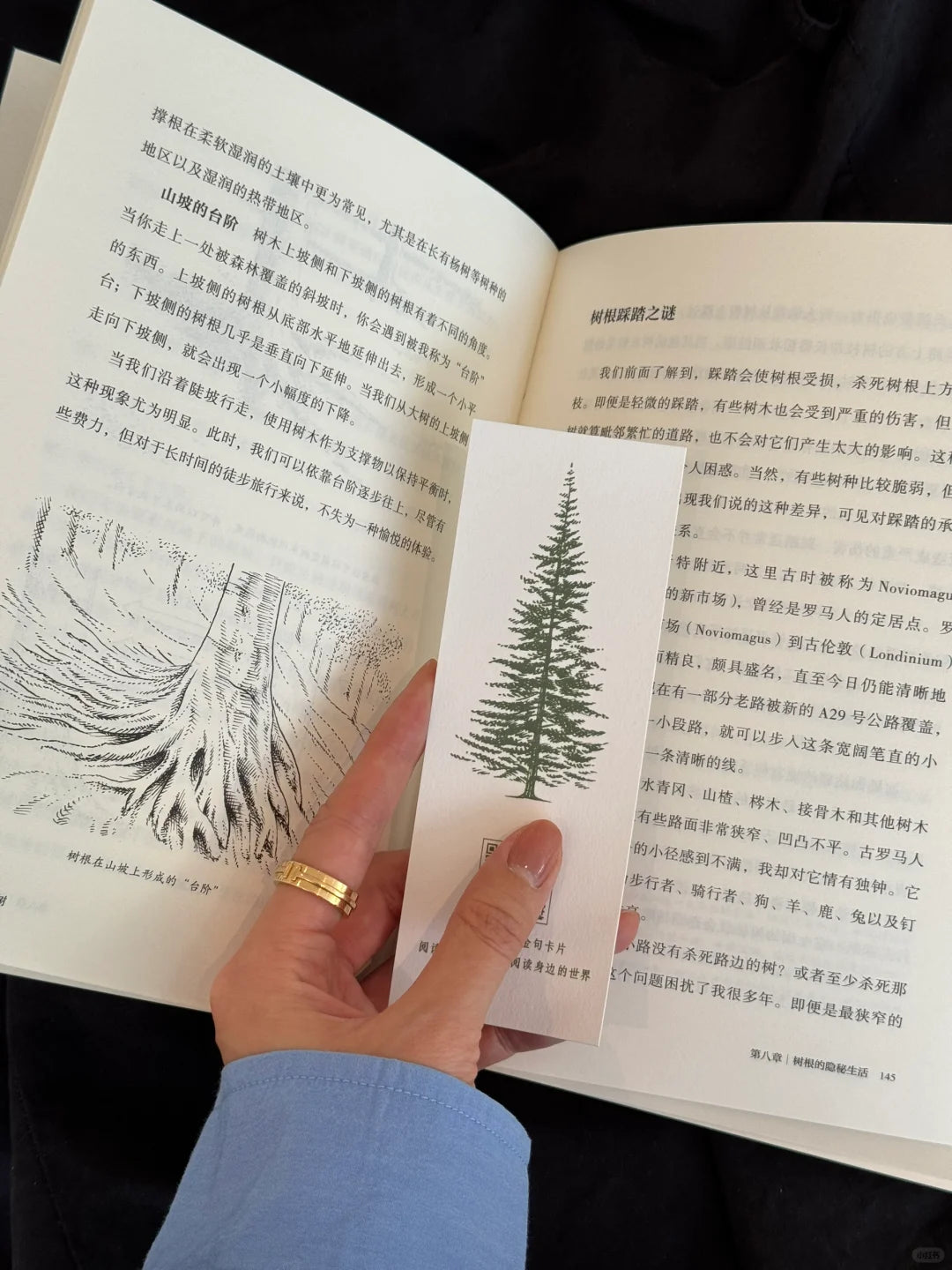 如何阅读一棵树