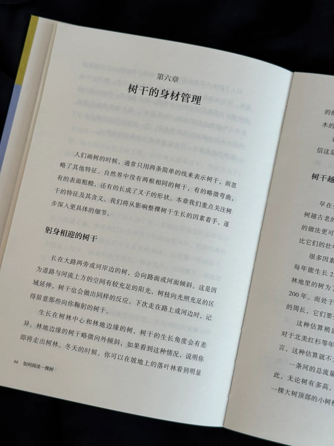 如何阅读一棵树